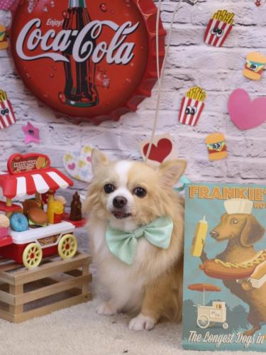 20230919マロ太くん